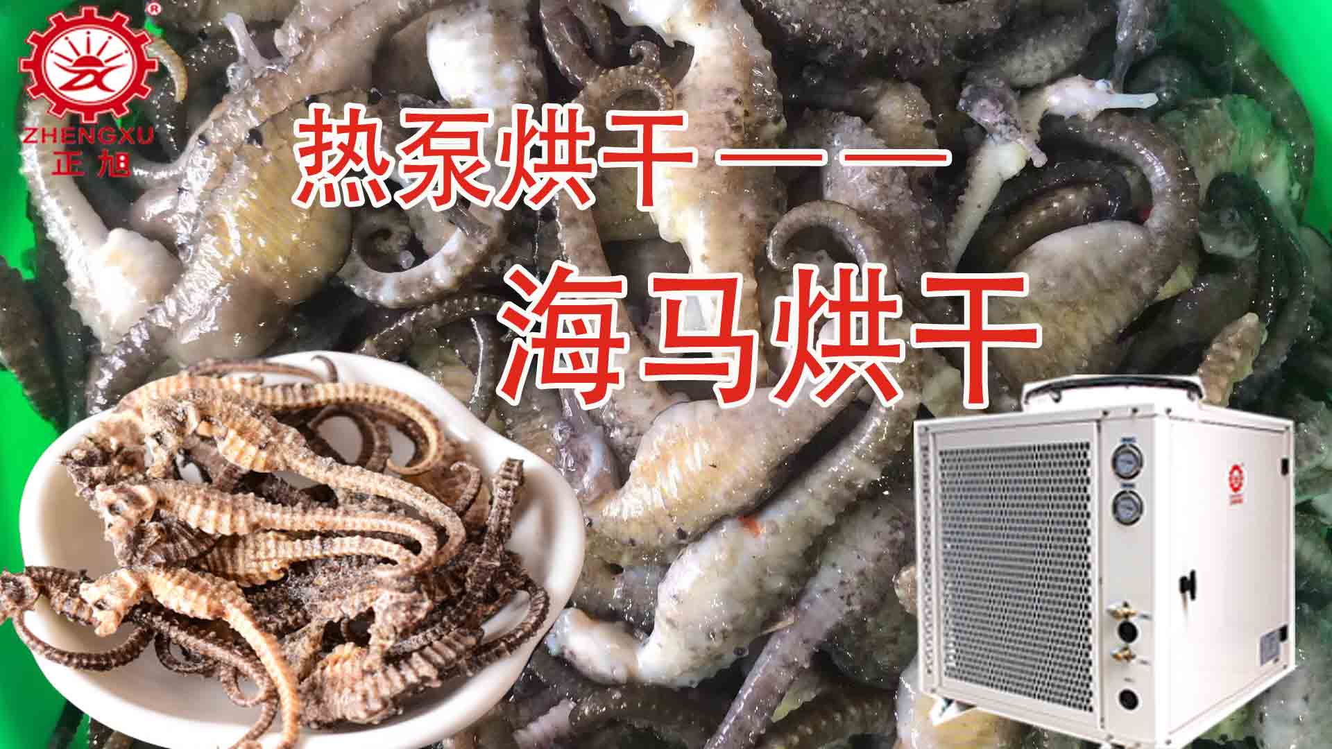 海馬熱泵烘干方法詳解（含研粉、清洗、宰殺、烘干時(shí)間）