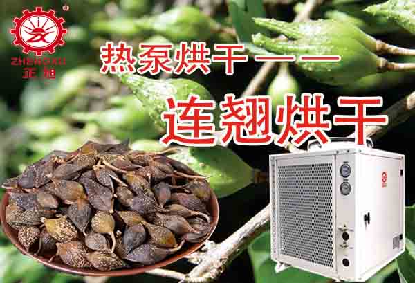 一噸連翹熱泵烘干需要多少錢？「熱泵烘干廠家」為你解答